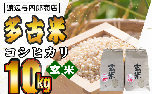 【千葉県多古町】TKOB2-008 多古米コシヒカリ【玄米】10kg