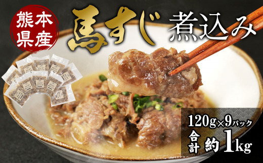 【熊本県熊本市】馬スジ 煮込み 計1.08kg（120g×9パック） 馬肉 惣菜