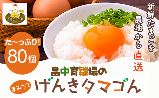 畠中育雛場のげんきタマゴん 80個 《30日以内に出荷予定(土日祝