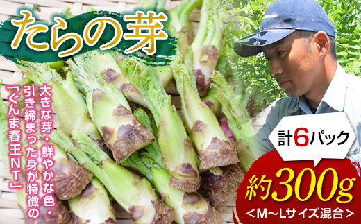 春を感じる！山菜の王様 たらの芽（300g） F20E-770 - 群馬県富岡市