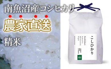 麗子様専用【農家直送】令和3年度 新米 新潟・妙高•原通産コシヒカリ30