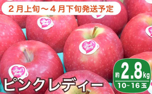 りんご ピンクの人気商品 通販 価格比較 価格 Com りんご ピンクの人気商品 通販 価格比較 価格 Com