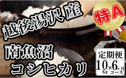 令和5年産 【精米10㎏/6回定期便】「越後湯沢産」【湯沢産コシヒカリ