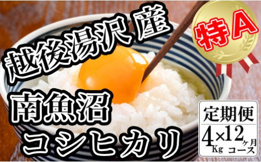 令和5年産【精米4㎏/12回定期便】「越後湯沢産」【湯沢産コシヒカリ】