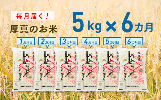 ６ヵ月！毎月届く定期便「厚真のお米」５kg