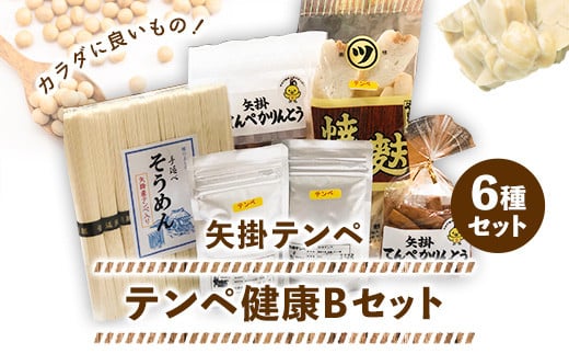 42.テンペ健康セットB 6種セット 矢掛テンペ 《30日以内に順次出荷(土日祝除く)》手延べそうめん 粉末テンペ かりんとう 麩 大豆 発酵食品  スーパーフード 岡山県矢掛町産 発酵亭