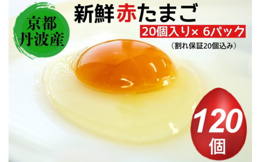 新鮮 卵 京都・丹波の赤たまご 100個＋割れ保証20個 計120個 《生卵