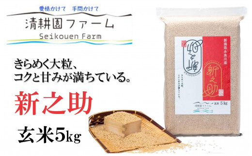 令和5年産】新米 農薬約7割減 新潟県認証 特別栽培米 新之助 玄米紙袋25kg-