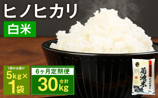 6ヶ月定期便】熊本県菊池産 ヒノヒカリ 5kg×6回 計30kg 精米 お米 米 白米 - 熊本県菊池市｜ふるさとチョイス - ふるさと納税サイト