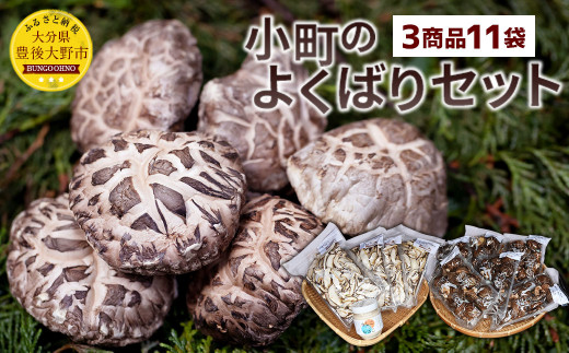 こだわり品種の干し椎茸30g＊10パック」 5箱セット-