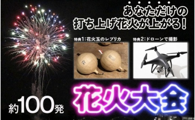 自分好みの花火が打ち上がる プライベート花火大会 愛知県豊田市 ふるさと納税 ふるさとチョイス
