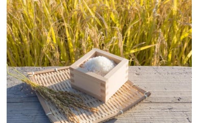 【兵庫県丹波篠山市】丹波たぶち農場の特別栽培米こしひかり10�s