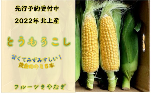 受付終了間近 22年産 北上産 とうもろこし キミ 5本 岩手県北上市 ふるさと納税 ふるさとチョイス
