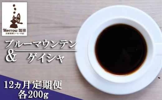 ポスト投函】自家焙煎 Morrow珈琲 6ヵ月定期便（豆） - 福岡県小郡市