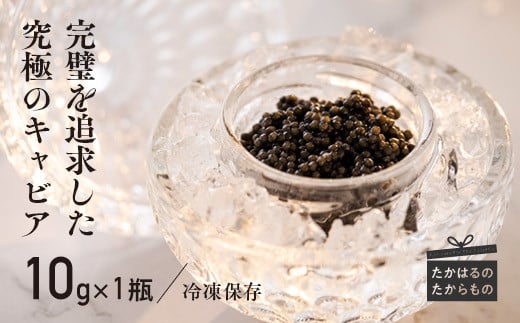 y{茧zTHEECAVIAR(UELrA)10g soG BAERIIt  [ Y {Y Mtg  蕨 v[g  ϔ XgbvIC] TF0485-P00066