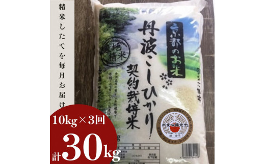 毎月】訳あり 定期便 新米 10kg 3ヶ月 京都丹波米 こしひかり 白米 3回