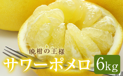 AS-2133 鹿児島県産サワーポメロ 6kg 【季節限定：2月中旬から順次発送