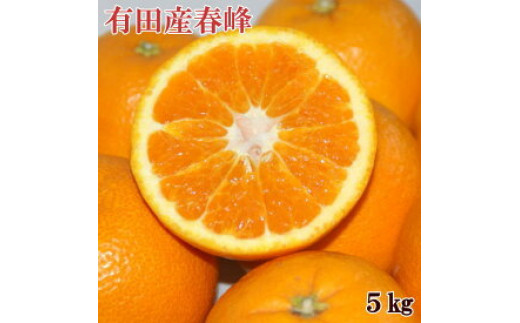 【和歌山県湯浅町】ZD6057_和歌山で生まれた春にぴったりの柑橘「春峰」約5kg