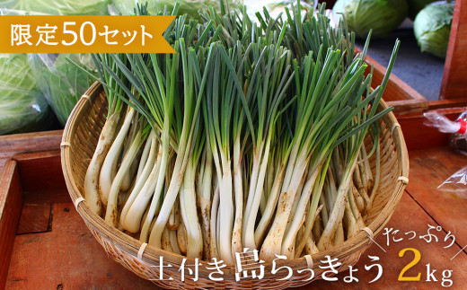島らっきょうの人気商品 通販 価格比較 価格 Com