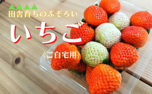 サンプル写真