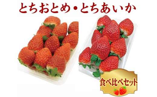 幻のイチゴ 長野産 軽井沢 桃薫 大粒 12 15粒 約300g 2パック 送料無料 果物 フルーツ いちご 苺 ギフト E Atai Shinsaku いちご Wordsliive Org