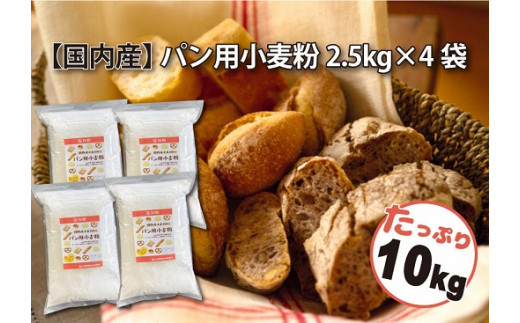【美品】ふるさと納税限定 パンダの親子 販促モール 【美品】ふるさと納税限定 パンダの親子