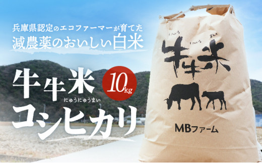 ☆農家直送☆令和4年度☆福島県南会津産コシヒカリ20kg☆減農薬エコ