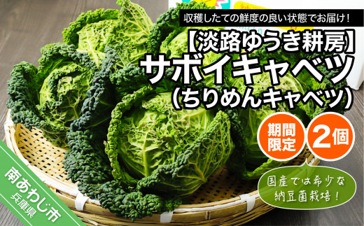 【淡路ゆうき耕房】国産では希少な納豆菌栽培！【期間限定】サボイキャベツ（ちりめんキャベツ）2個