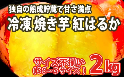 y錧zK1948 yʌzTCYs Ȃ܂ n g͂邩 Ⓚ Ă 2kg yt[hX팸z