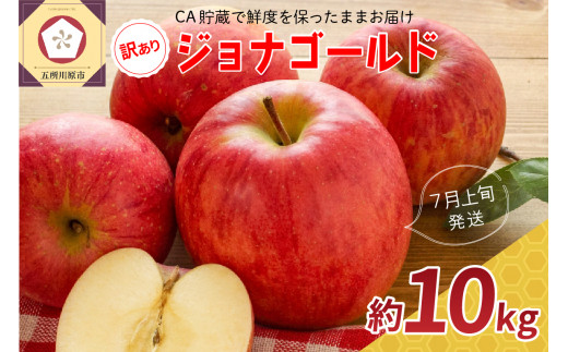 ジョナゴールド - りんごの人気商品・通販・価格比較 - 価格.com