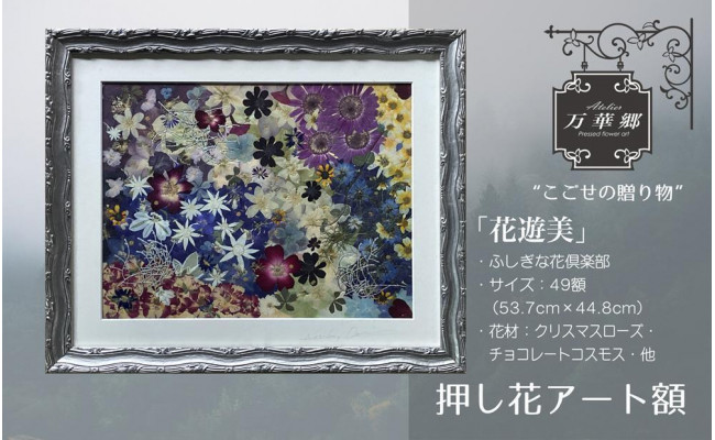 押し花アート「牡丹の花」不思議な花倶楽部49額 ハンドメイド - 通販