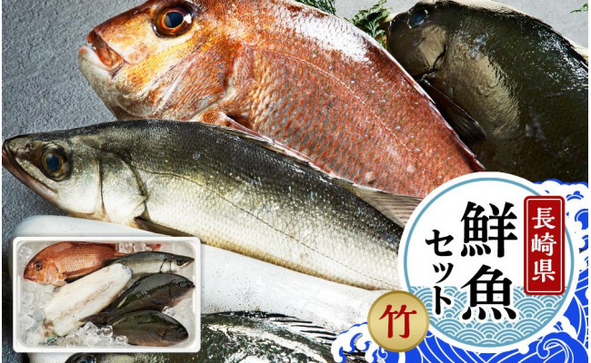 長崎鮮魚セット（竹） - 長崎県- | ふるさと納税 [ふるさとチョイス]