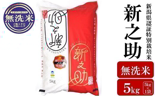 先行予約・令和7年産新米】新之助 無洗米 5kg 新潟県認証特別
