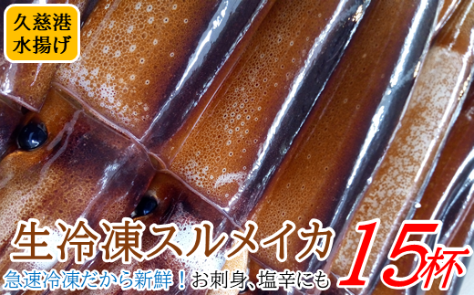 お刺身 いか焼き 炒めものに 三陸の生冷凍イカ15杯 岩手県久慈市 ふるさと納税 ふるさとチョイス