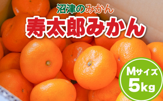 sd1_d418aae59977f005d35dd17a61