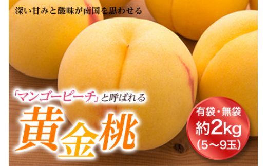 マンゴー さくらんぼの人気商品 通販 価格比較 価格 Com