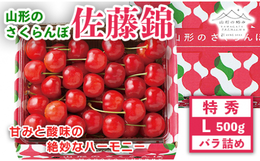 《先行予約》【山形の極み】さくらんぼ佐藤錦 500g バラ詰 F2Y-5177