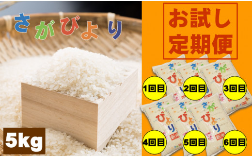 定期便】連続6回さがびより（5kg）肥前糧食 令和5年度産 - 佐賀県小