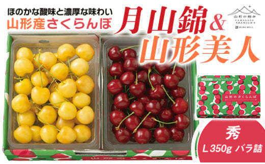 先行予約》【山形の極み】さくらんぼ月山錦・山形美人 各350ｇ バラ詰