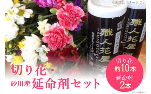 北海道内限定 いけがわ生花店 切り花 約10本 砂川産延命剤 2本 セット 北海道 砂川市 北海道砂川市 ふるさとチョイス ふるさと納税サイト