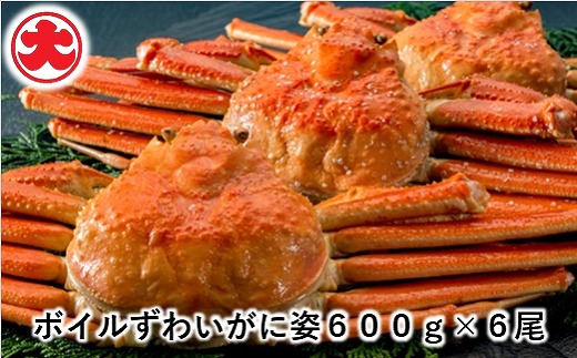 ykCszD-01053y12/21܂ŔNzz {C킢Ɏp600g×6