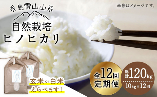 令和7年産】【玄米】【全12回定期便】自然栽培ヒノヒカリ10kg《糸島
