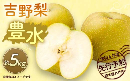 【熊本県八代市】八代市 令和4年度 先行予約 吉野梨 豊水 5kg 梨 果物 豊水梨