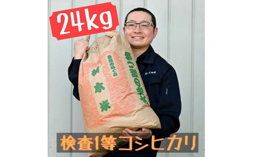 栃木県産 コシヒカリ 玄米24kg【検査1等米】