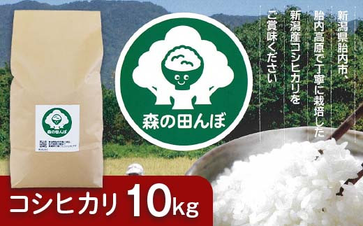 新潟県胎内産コシヒカリ10kg（森の田んぼ） - 新潟県胎内市｜ふるさとチョイス - ふるさと納税サイト