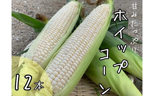 北海道中富良野産の甘みたっぷりホイップコーン - 北海道中