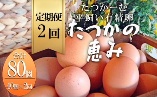 [№5724-0557]平飼い有精卵『たつかの恵み』40個×2ヶ月連続お届け