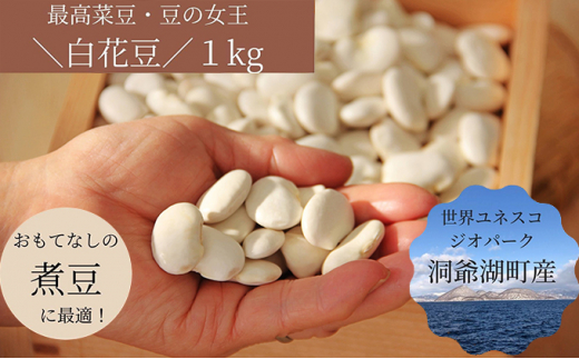 北海道・洞爺湖町産 高級菜豆の白花豆1kg(500g×2袋)　※2023年12月中旬より順次出荷