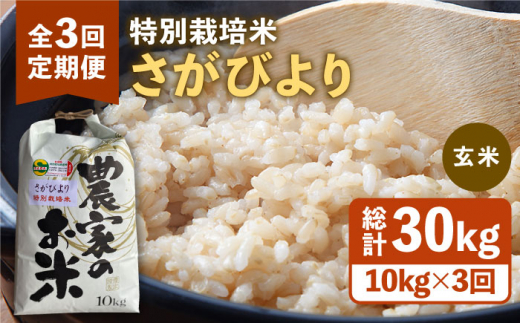 令和5年産 新米 さがびより 玄米 10kg【ひなたむらのお米】 [HAC004