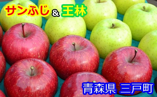 りんご【サンふじ＆王林】セット 14～18玉（約5kg）【2023年産・先行